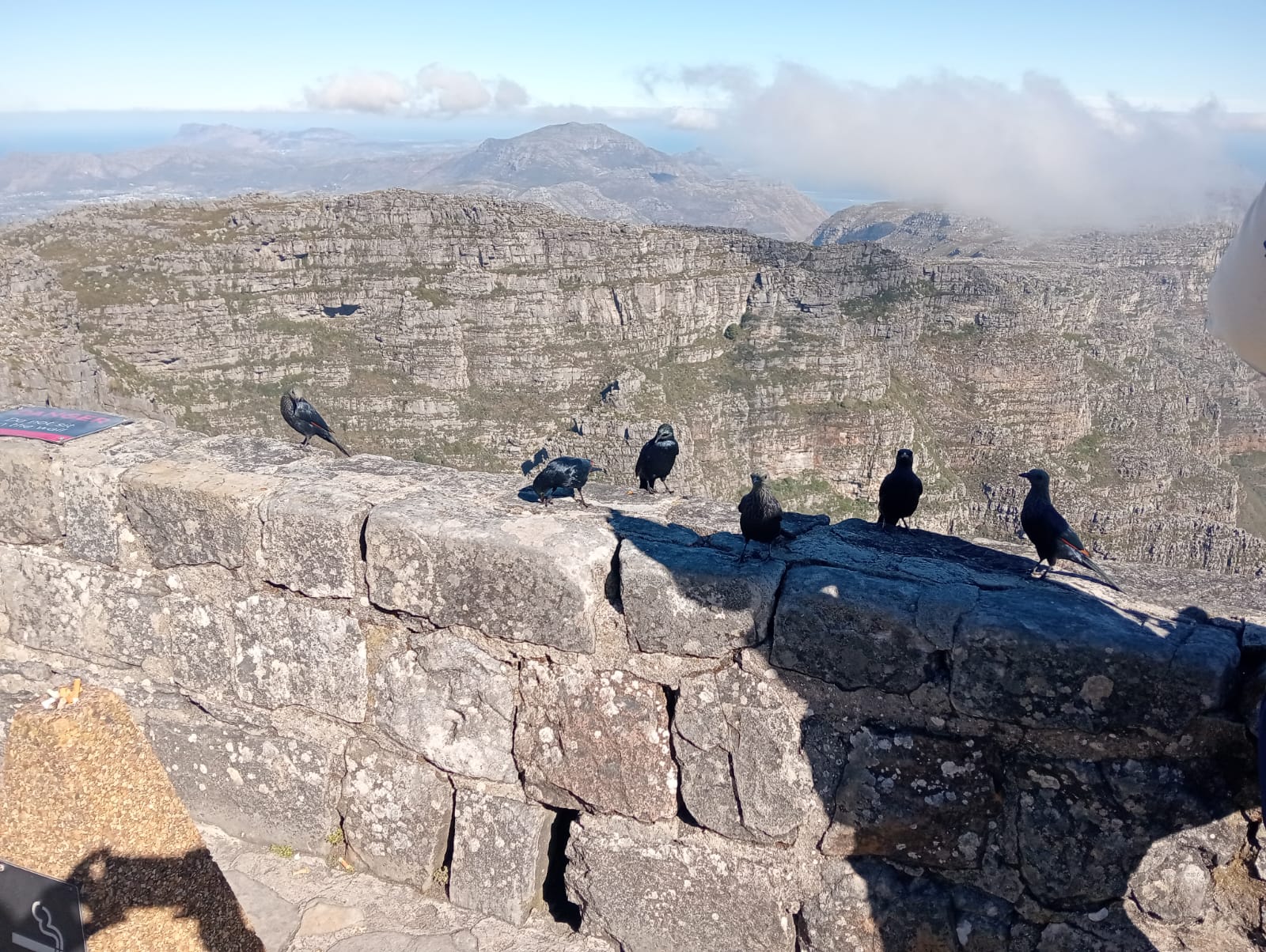 Table Mountain 2